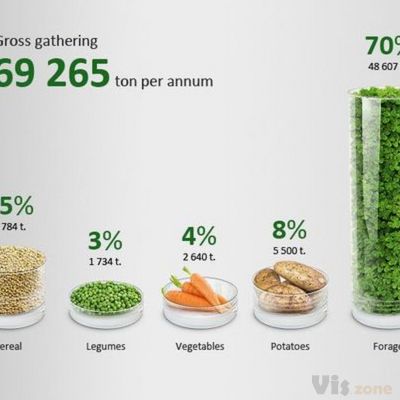The project was done for a web site of an agricultural holding company Agroreserv. I decided to present … | Infographic design, Infographic inspiration, Agriculture