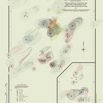 Sensory Maps | The Common