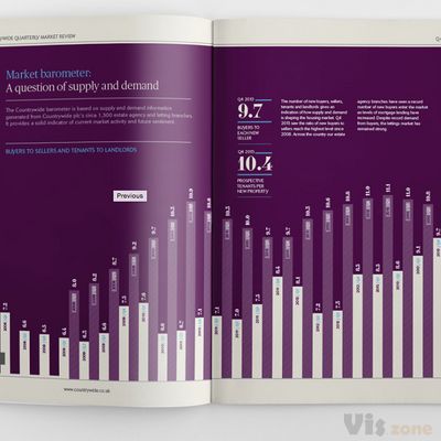 Infographic Report: Countrywide on Behance