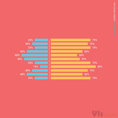 The Visual Agency