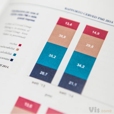 The Visual Agency