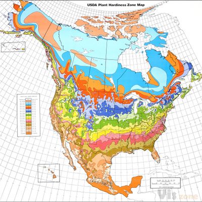 Thematic map - Wikipedia